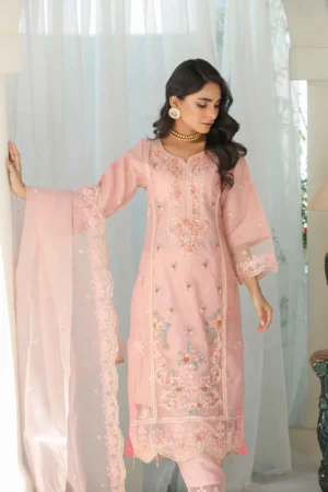 Pakistani clothes online