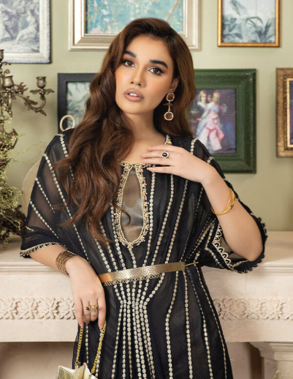 pakistani chiffon dress