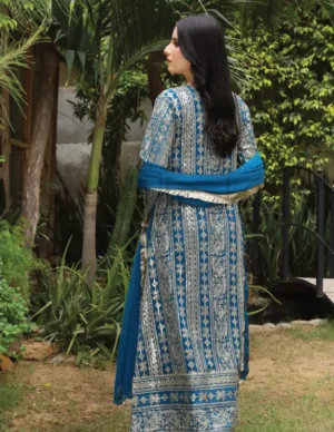 Pakistani Zinc Blue woman dresses