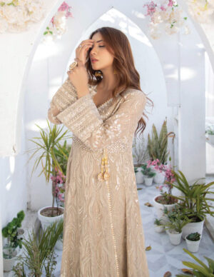 Camel brown Pakistani dress