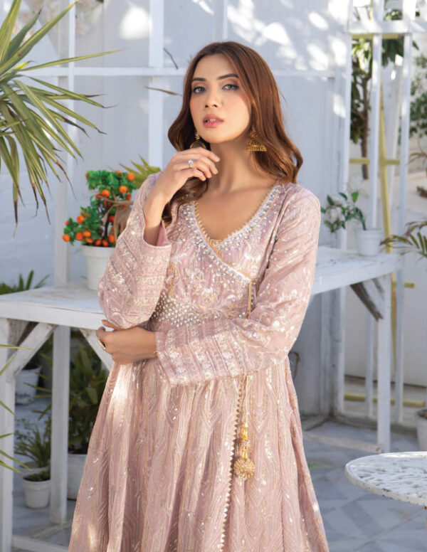 Pakistani lilac dresses