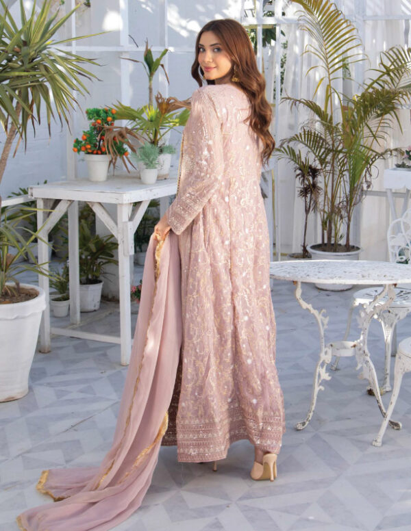 Pakistani lilac suit