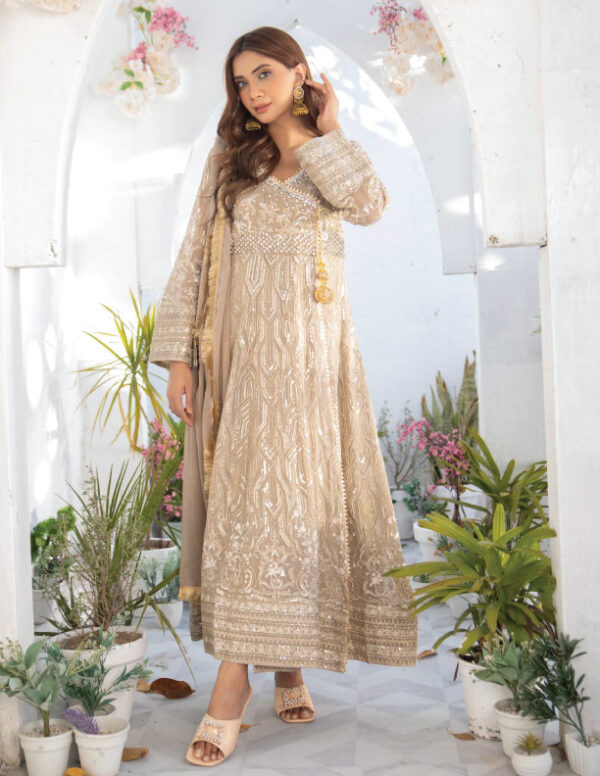 New Dresses for Pakistani women