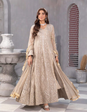 Pakistani long angrakha dress